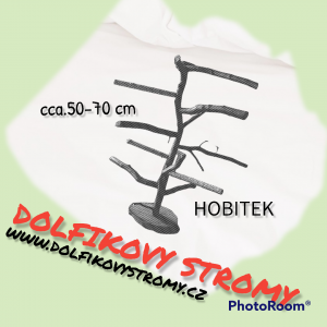 photoroom-20210926_094902.png