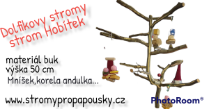 photoroom-20220425_231041.png
