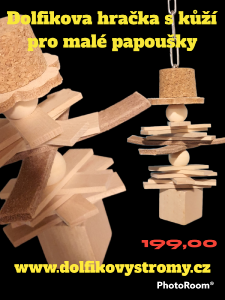 photoroom-20230126_235734.png