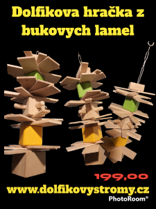 photoroom-20230126_235033.png