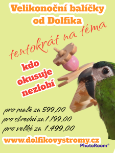 photoroom-20230209_221106.png