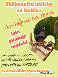 photoroom-20230209_221658.png