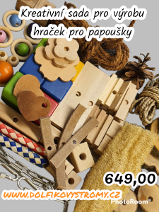 photoroom-20230208_225958.png