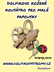 photoroom-20230405_215934.png