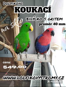 photoroom-20230511_220833.png