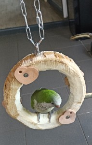 img_20230708_222002.jpg