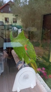 img_20230720_204522.jpg