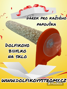 photoroom-20230815_184653.png
