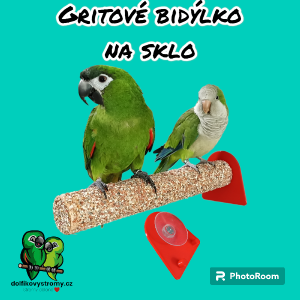 photoroom-20230929_154946--1-.png