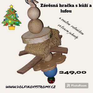 photoroom-20231203_053844.png
