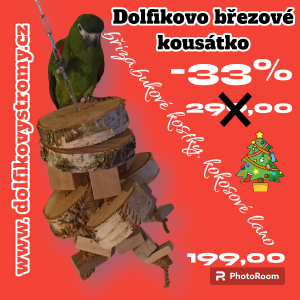 photoroom-20231129_193624.png