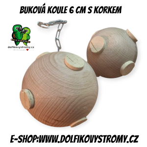 photoroom-20250219_183323.png