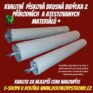 photoroom-20250122_205057.png