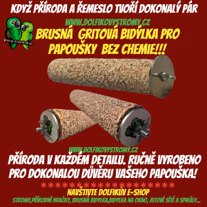 photoroom-20250204_144135.png
