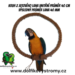 20250508_111909-0---5-.png