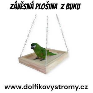 screenshot_20250525_001307_gallery--6-.png