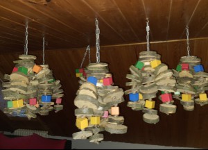 20201230_104434.jpg